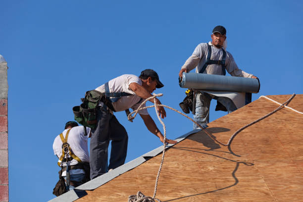 Best Roof Gutter Cleaning  in Brighton, AL